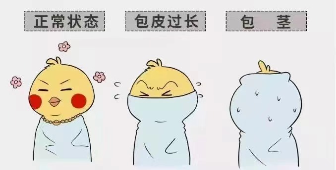 鸡西包皮包茎医院